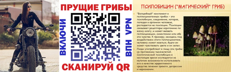 продажа наркотиков  Брюховецкая  OMG как зайти  Галлюциногенные грибы GOLDEN TEACHER 